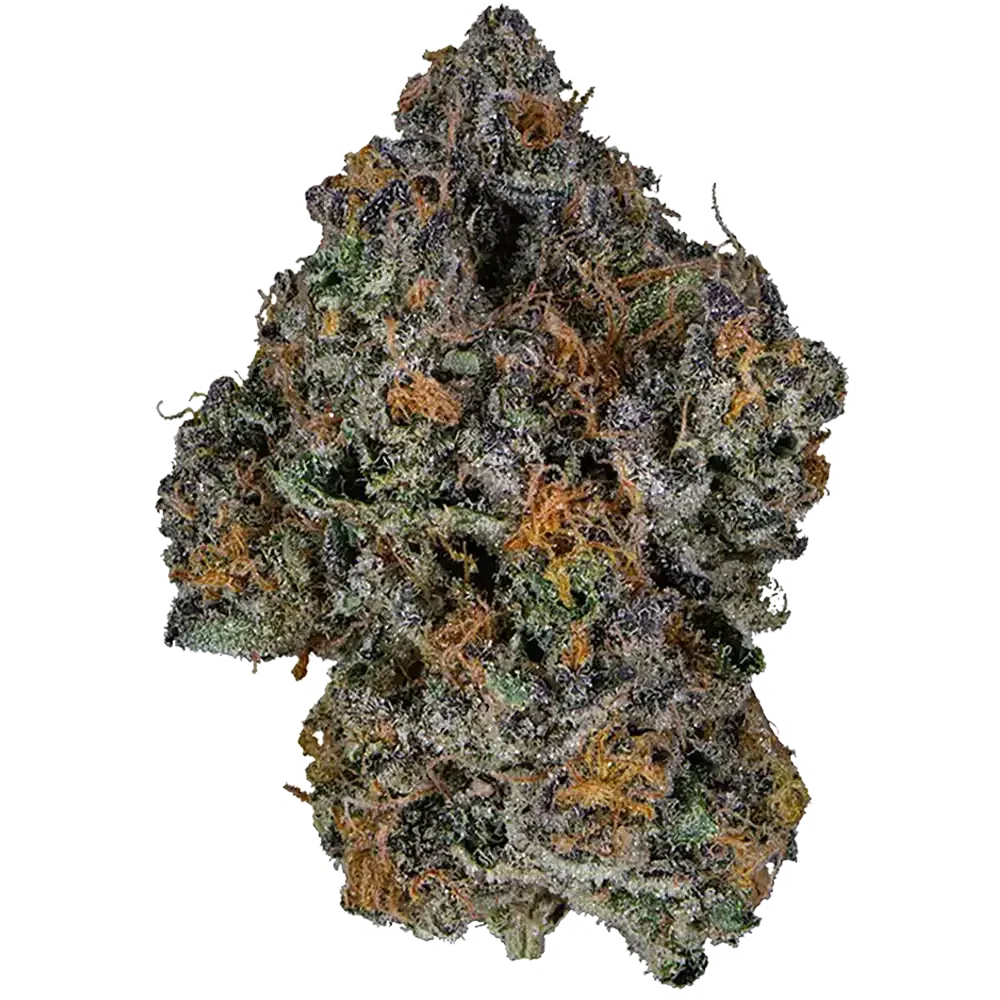 The Station - Close up image of a strain of a Hybrid cannabis bud